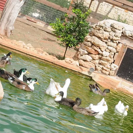 Agriturismo Casale Contenti * ムーロ・レッチェーゼ